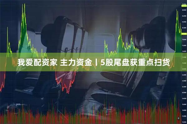 我爱配资家 主力资金丨5股尾盘获重点扫货
